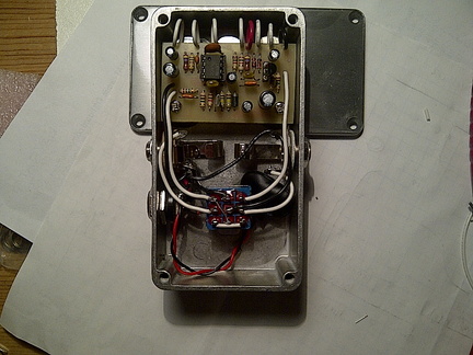 rat 20guts