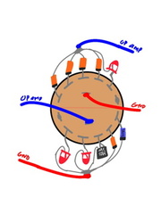 Rotary Switch diode