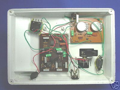 ARBITER FUZZ PHAZER GUTS 3
